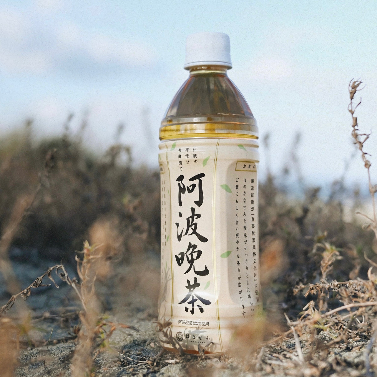 伝統発酵茶 阿波晩茶100％ ペットボトル 500ml 24本入り – 阿波晩茶の 