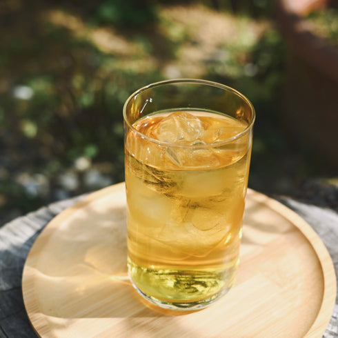 伝統発酵茶 阿波晩茶100% ペットボトル 500ml 24本入り