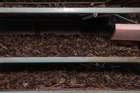 伝統樽漬け発酵茶 阿波晩茶100%ティーパック 12P