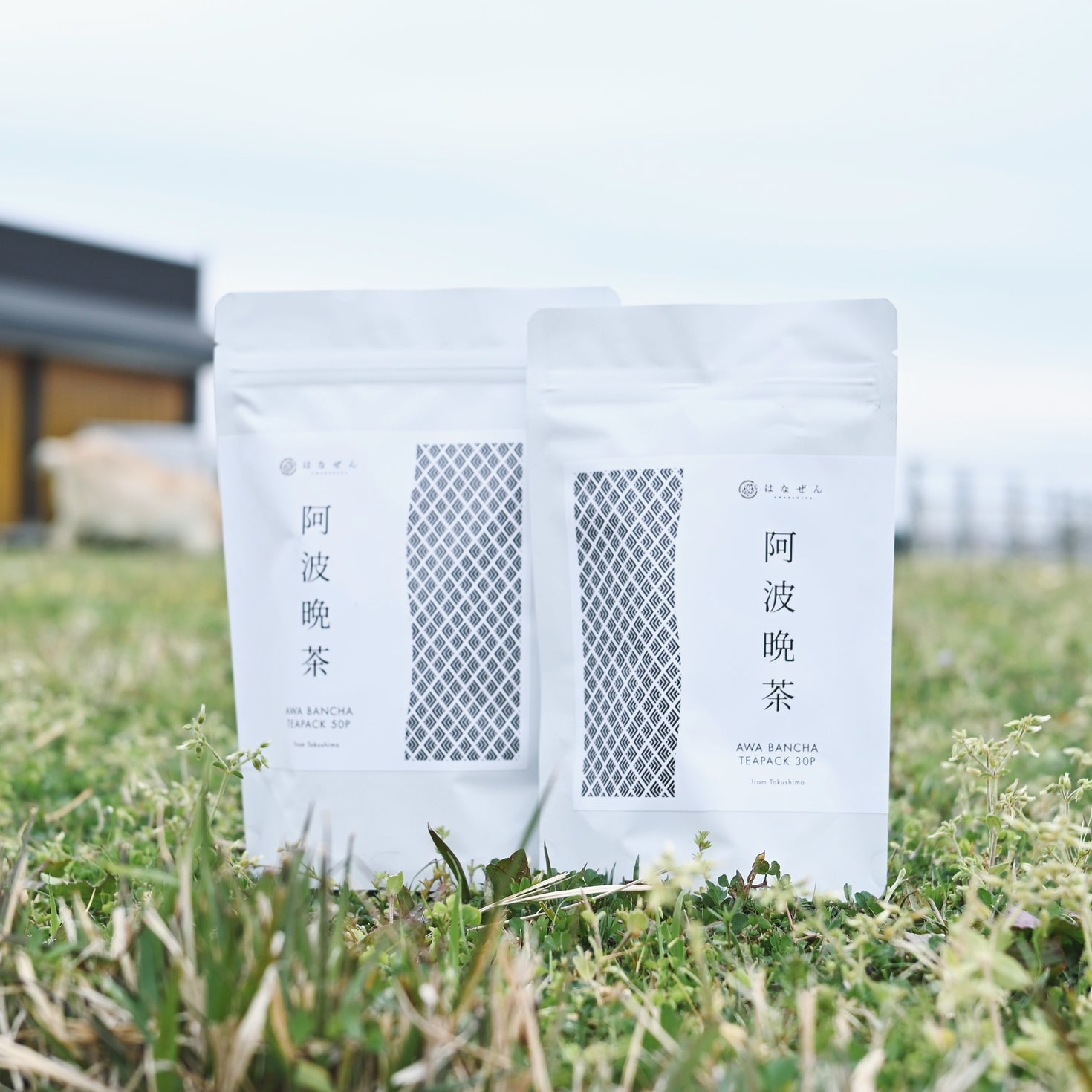 伝統樽漬け発酵茶 阿波晩茶100％ティーパック 50P – 阿波晩茶のはなぜん